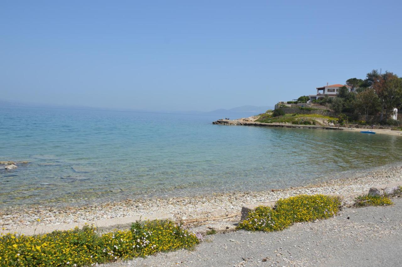 Epipleon Suites Agioi Apostoloi  Bagian luar foto