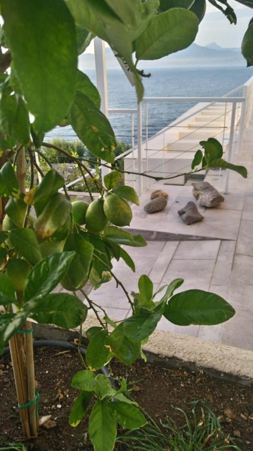 Epipleon Suites Agioi Apostoloi  Bagian luar foto